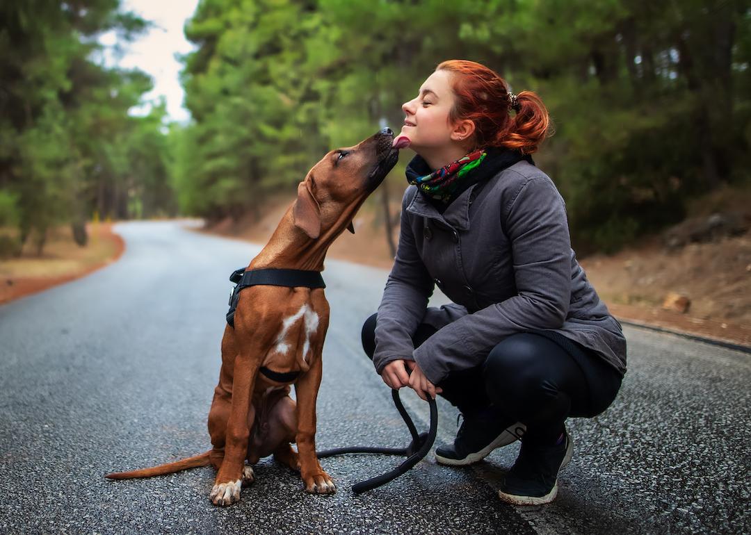 Rhodesian ridgeback gives owner a kiss on a hike.