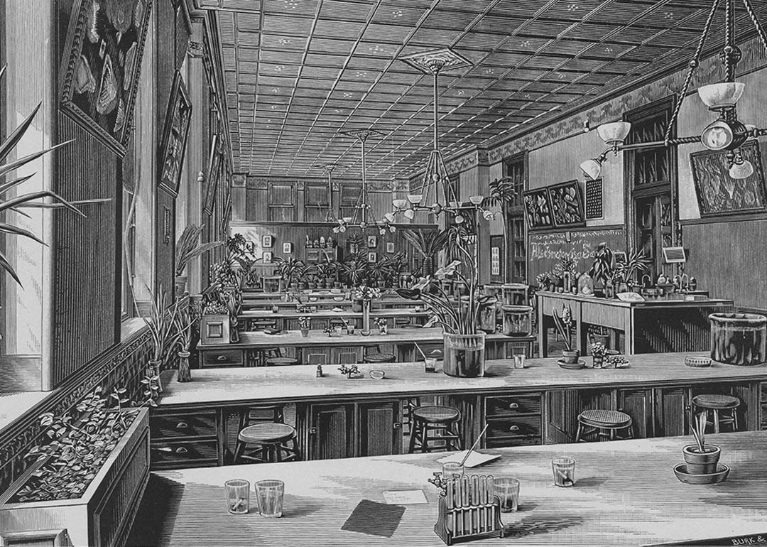 Engraving of the Biological Room at Philadelphia High School for Girls, Pennsylvania, circa 1848-1900.  