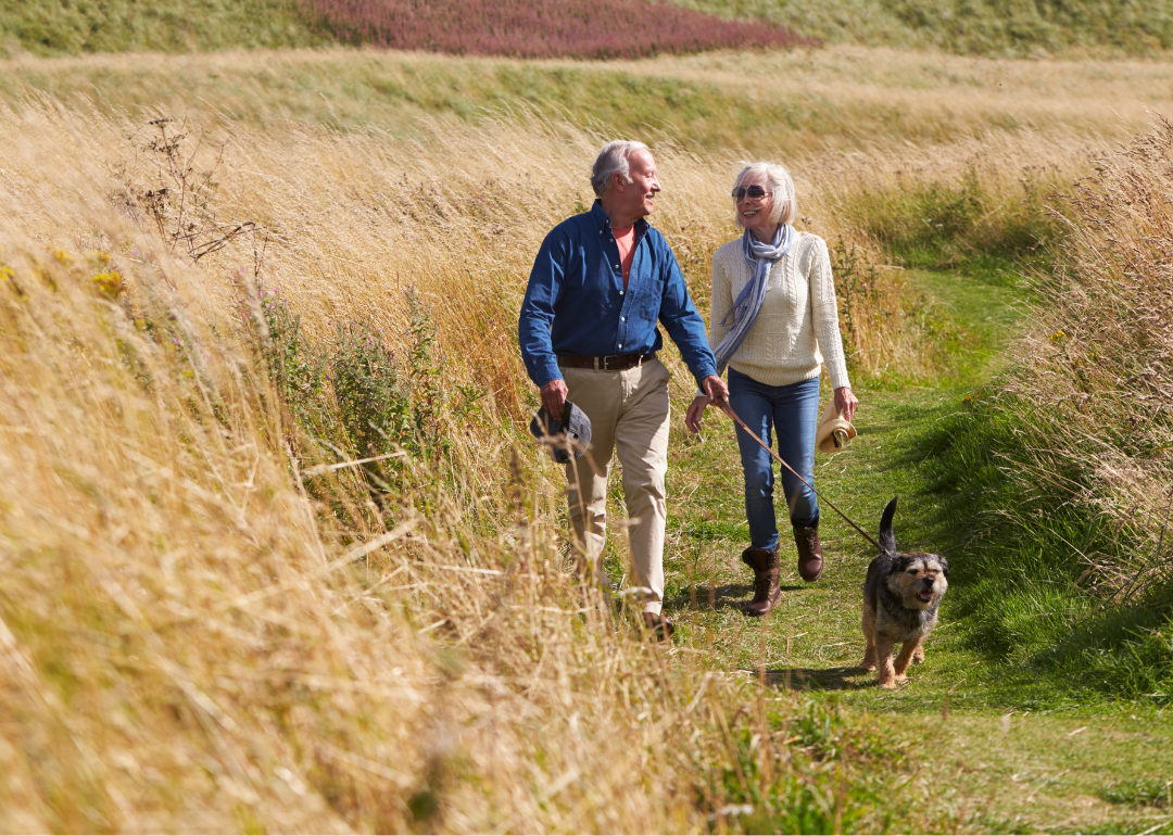 Senior couple walking their dog on a grassy countryside path