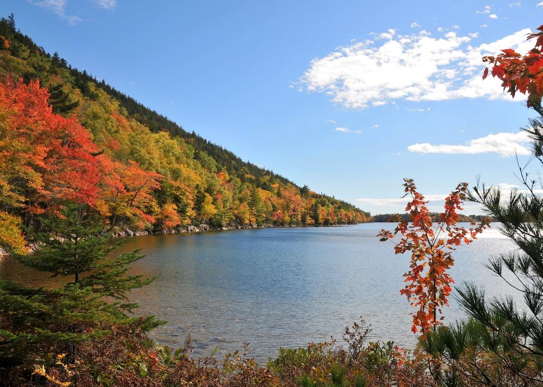 Autumn colors in the National Park of Bar Harbor, USA.