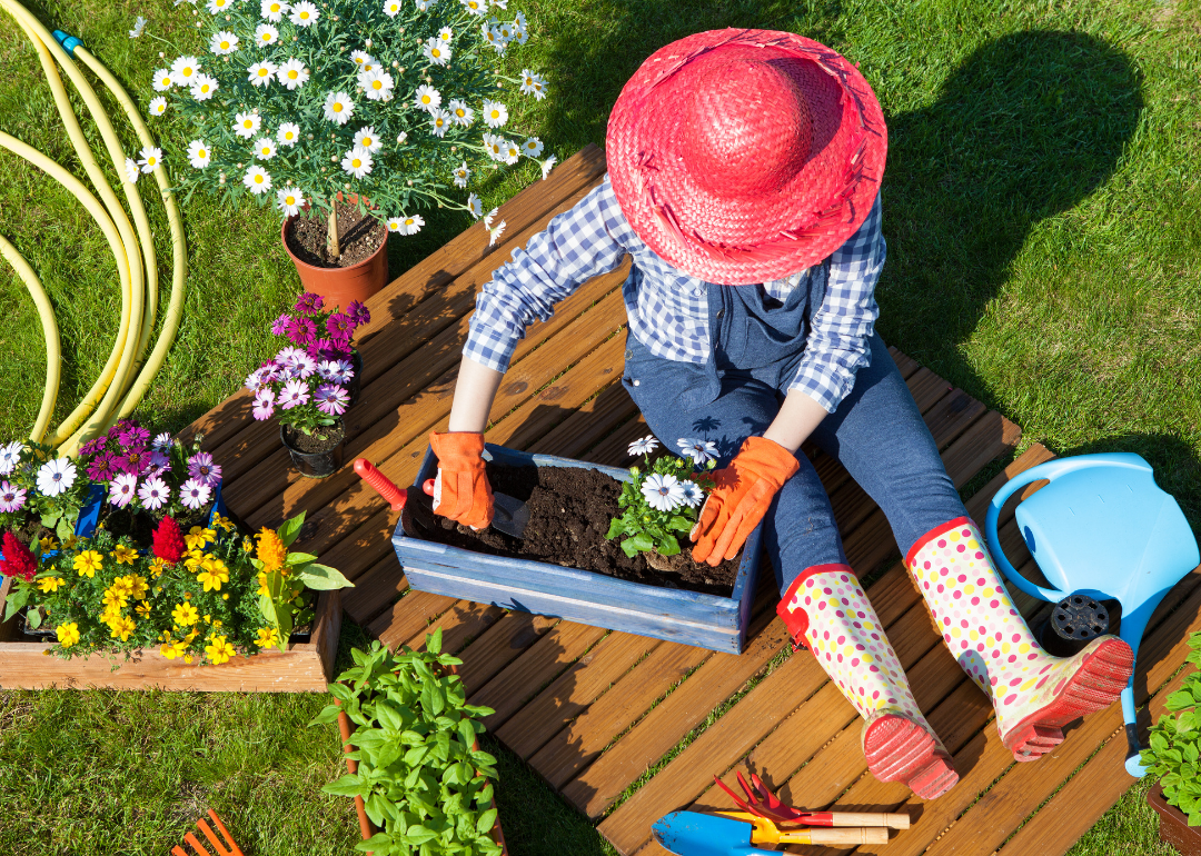 A person in a bright orange sun hat and polka dot rain boots gardening.