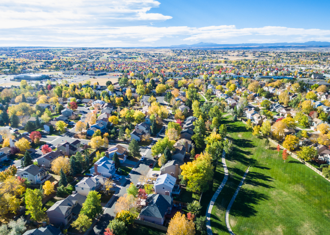 Aerial view of homes and trees.