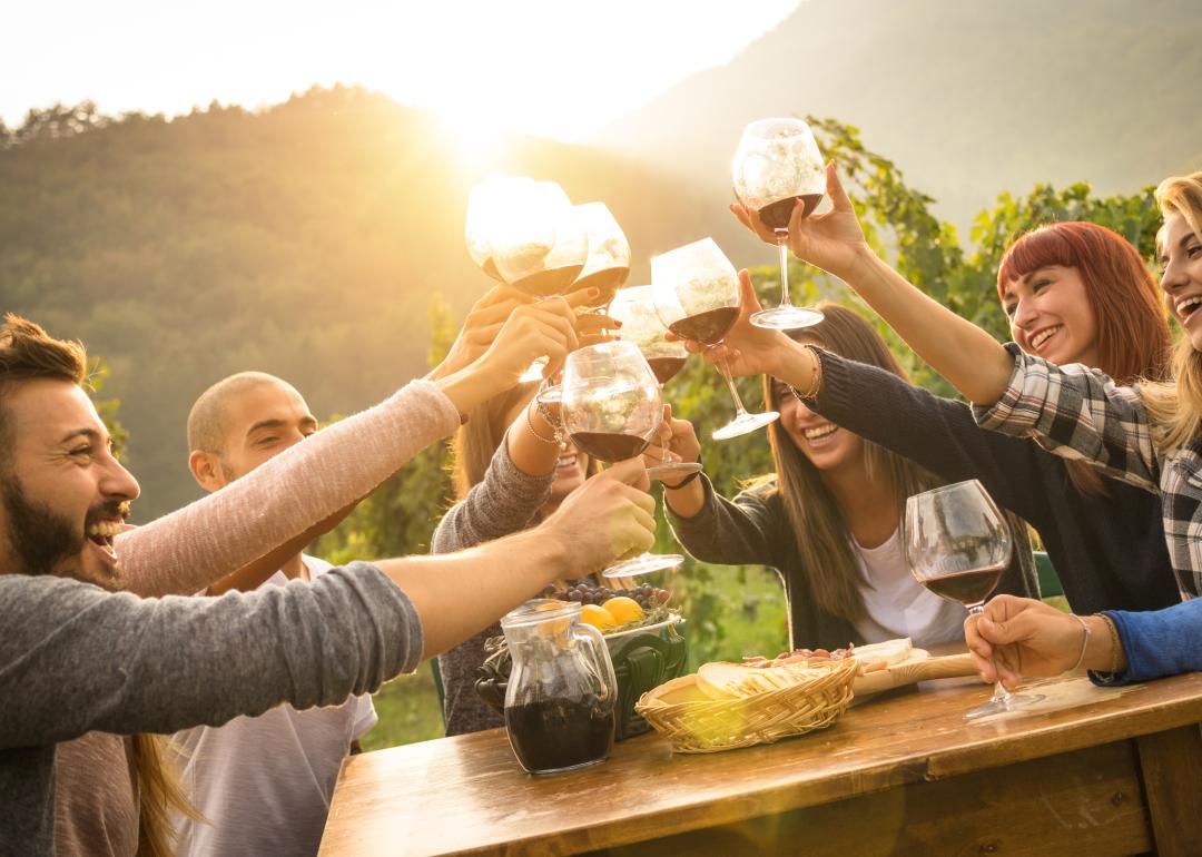 Group of young people toasting wine at winery.