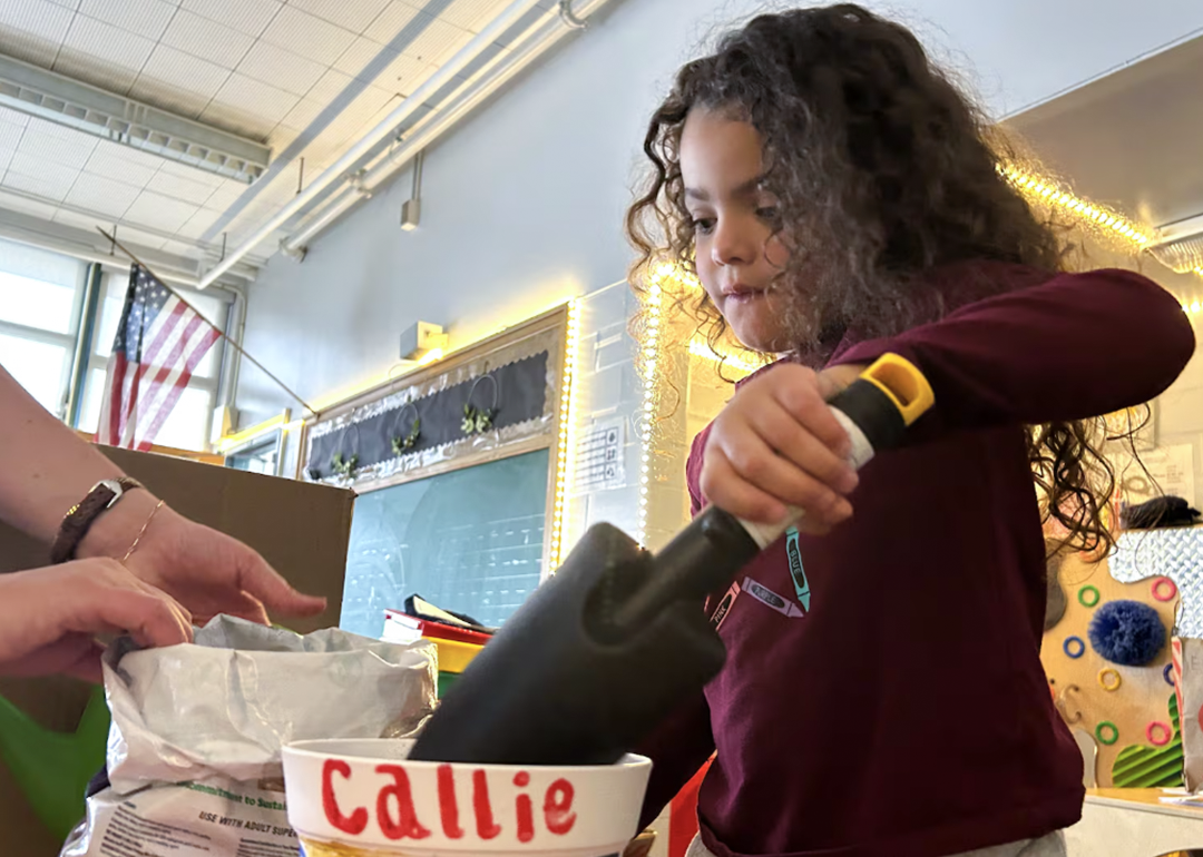 A preschooler at Palmer Elementary in Denver prepares to plant wildflowers in a pot she decorated. 