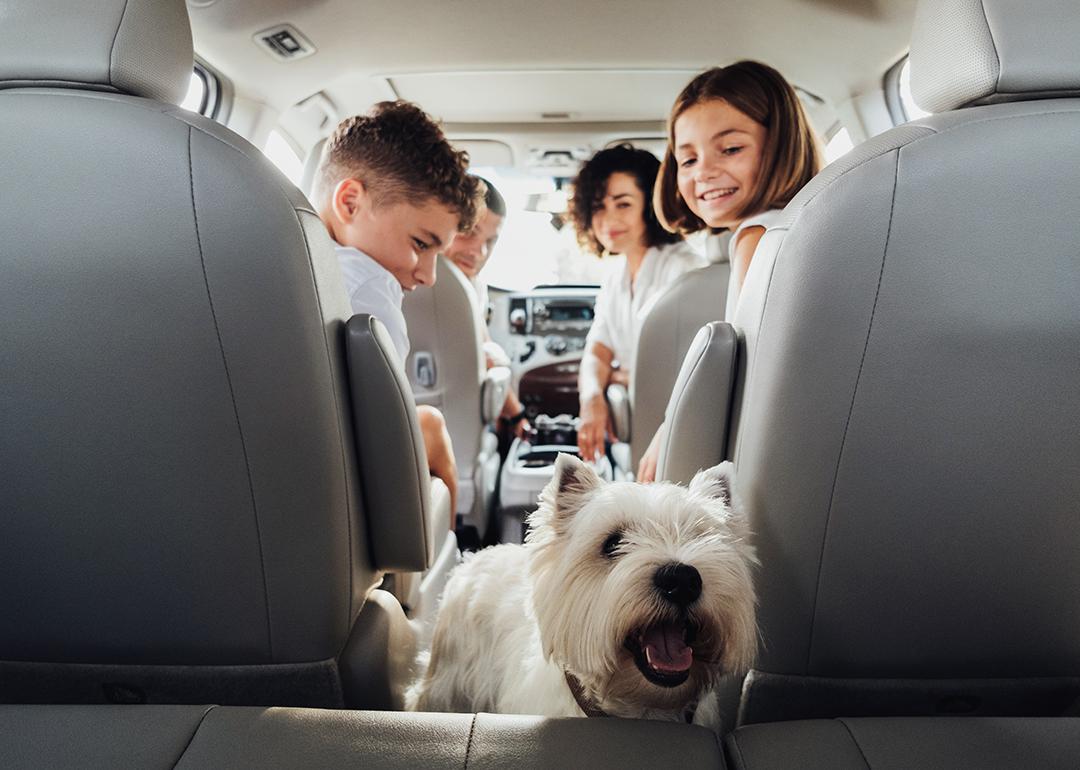 A family of four inside a minivan car traveling with their white terrier dog.