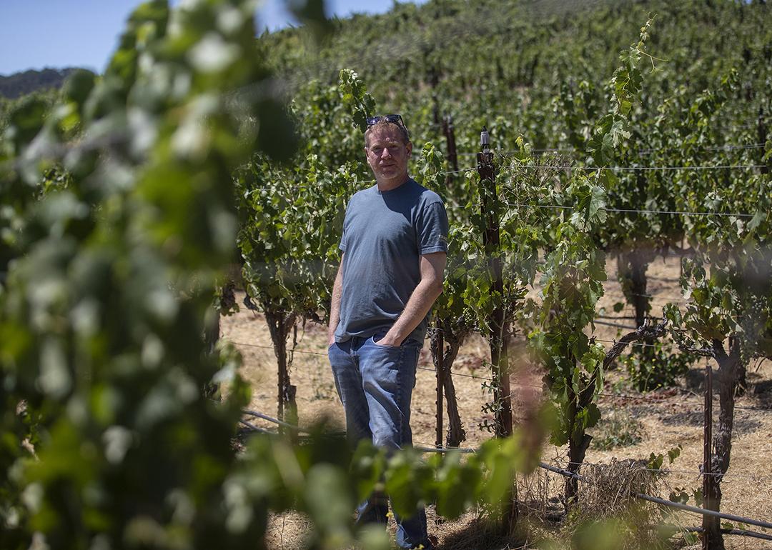 Jason Haas, owner of Tablas Creek Vineyard, stands amongst rows of grape vines at his vineyard in Paso Robles on July 30, 2025.