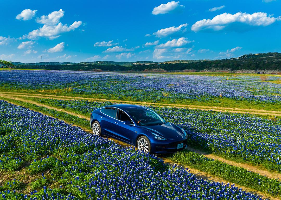 A Tesla Model 3 car driving through a large bluebonnet wildflower field.