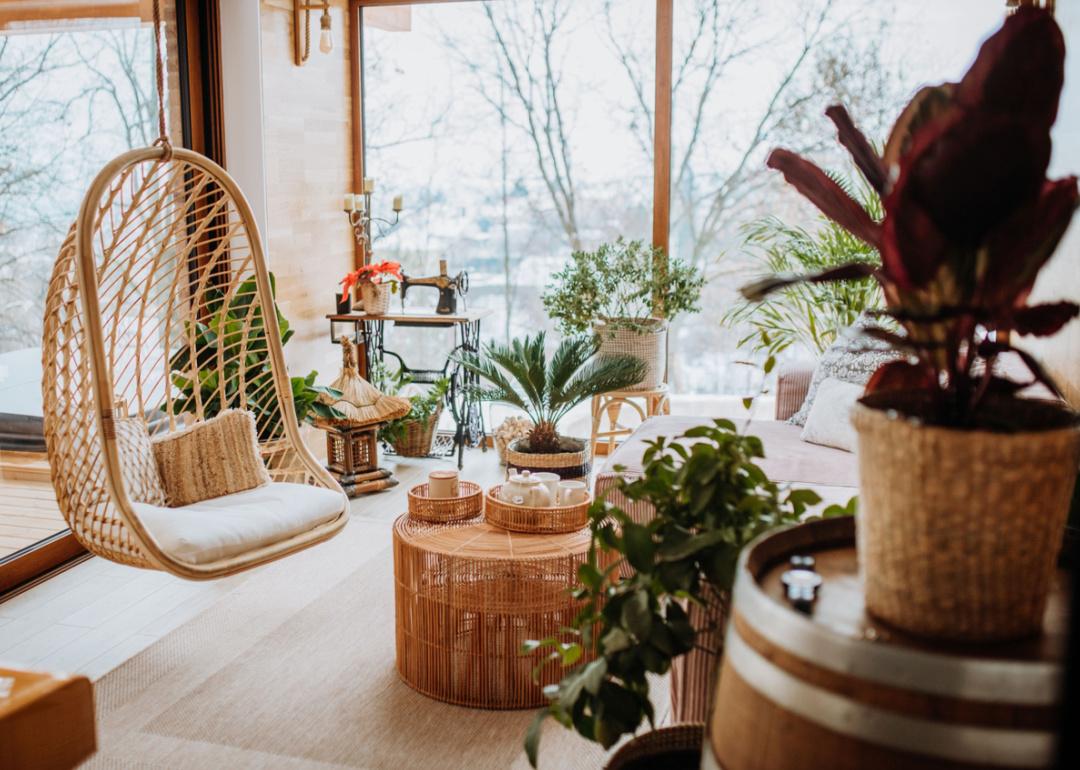 Modern cozy living room with plants in winter.