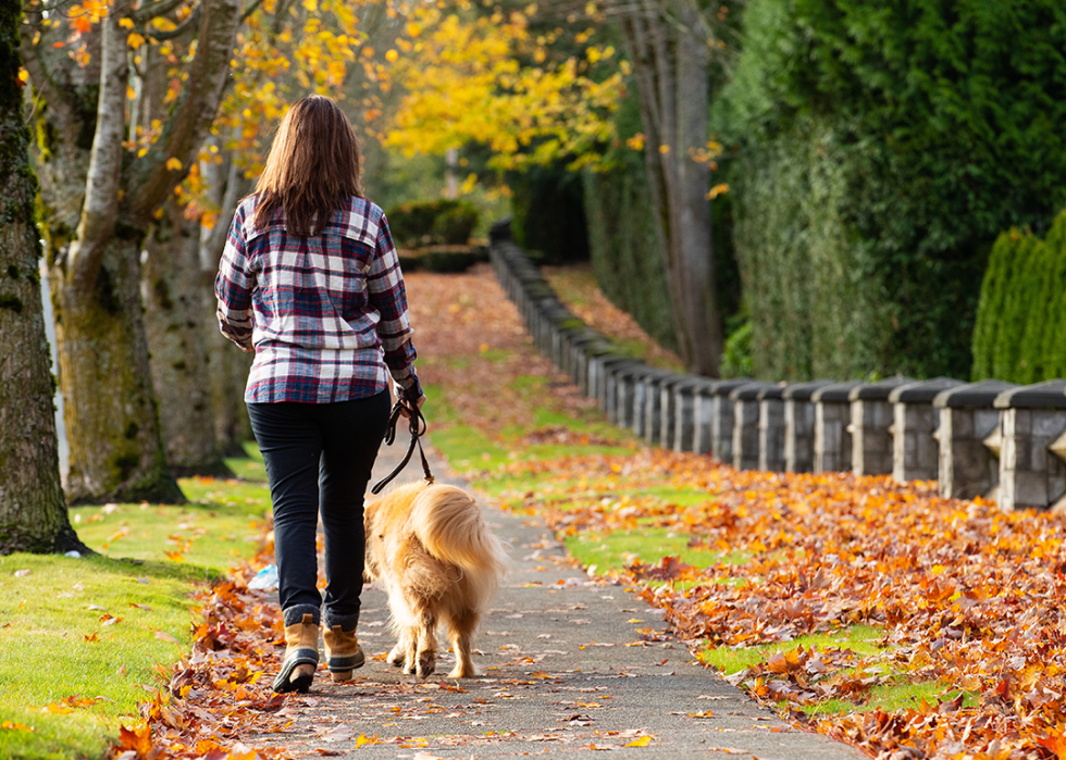 Woman walking dog in autumn.