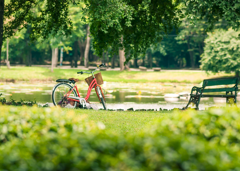 Park scene with bike in summer.
