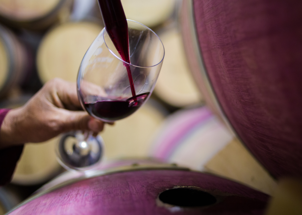 Collecting sample of wine for testing