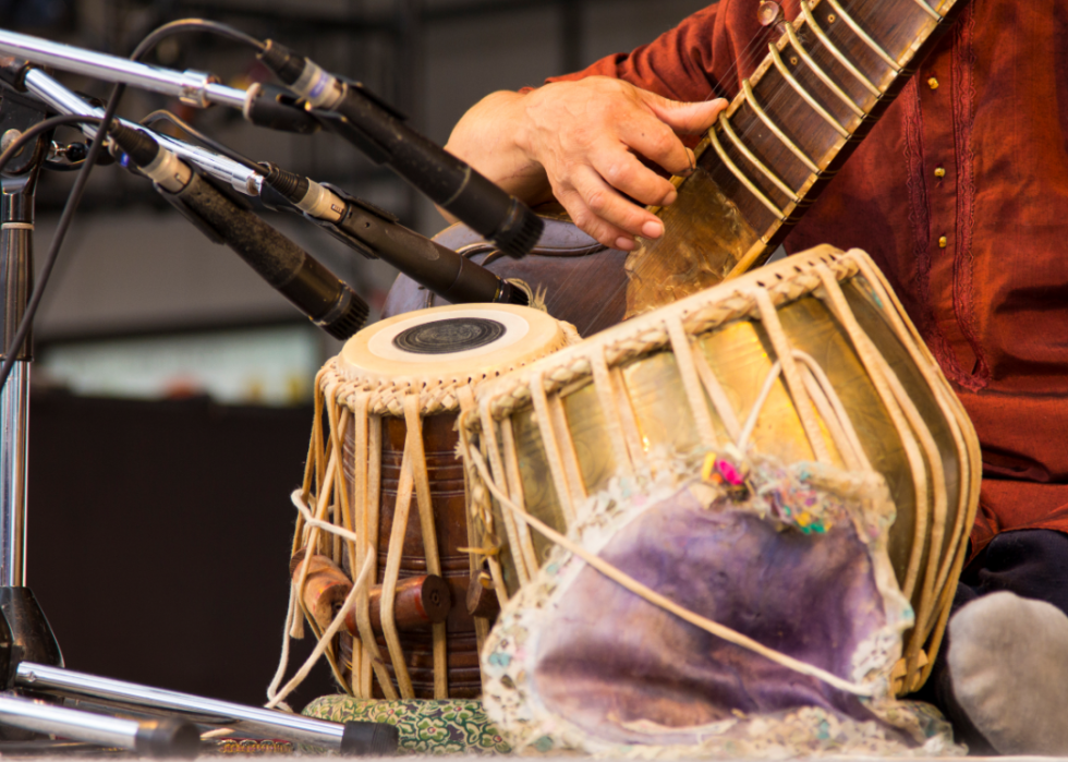 Person playing sitar close up.