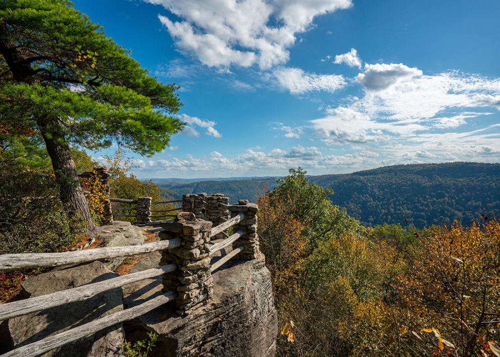 Coopers Rock state park overlooking over the Cheat River.