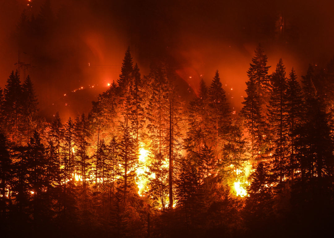 Eagle Creek Wildfire
