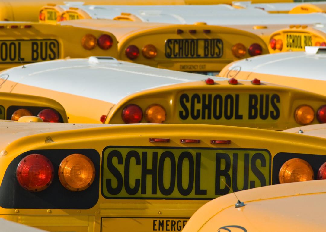 Group of school buses in parking lot.