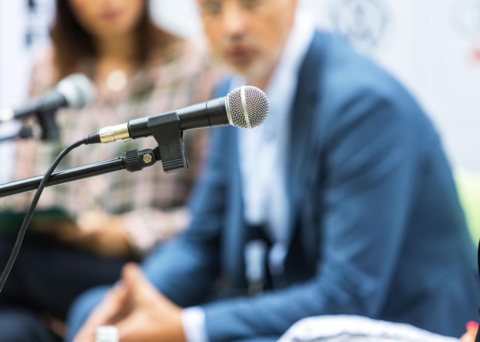 Panel speakers with microphone.