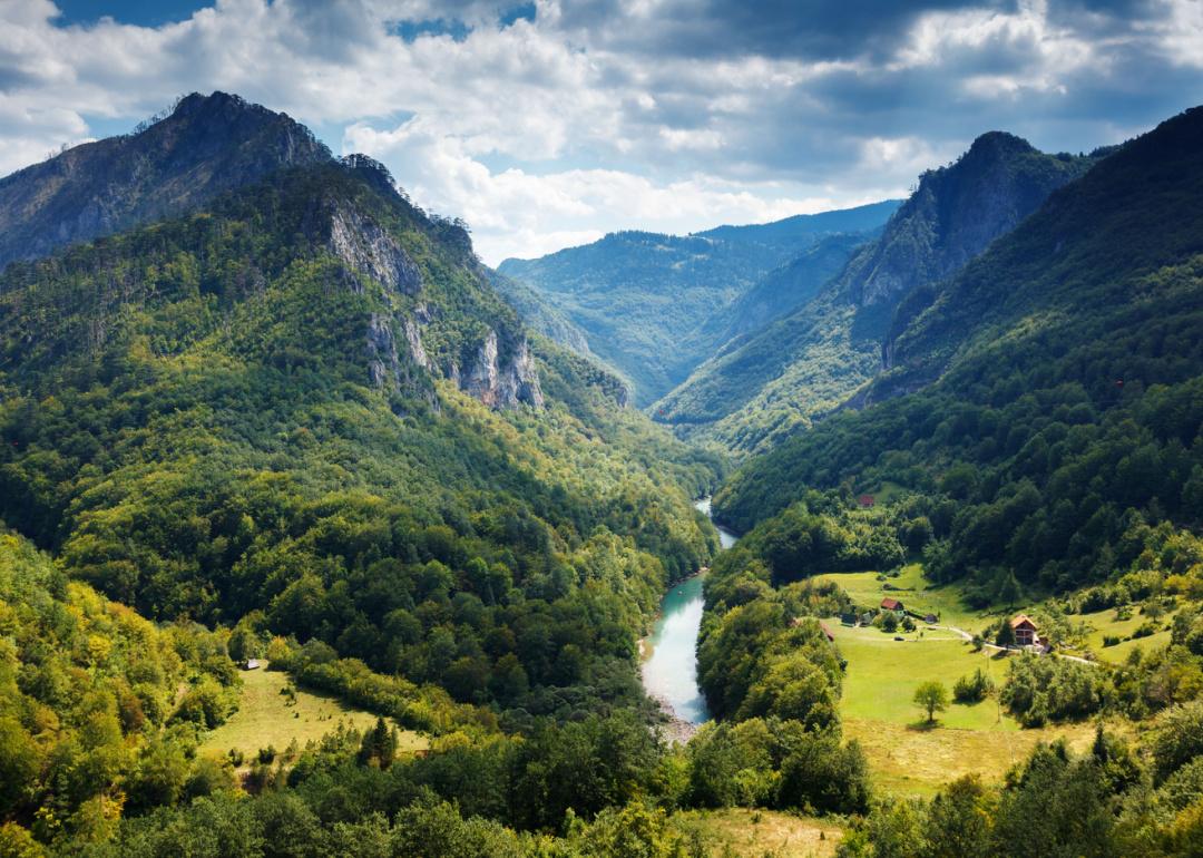 Tara river gorge in Durmitor National Park