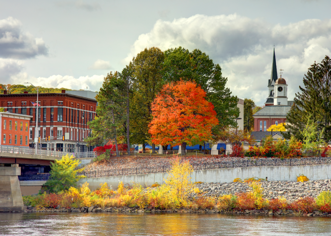 Autumn in Auburn.