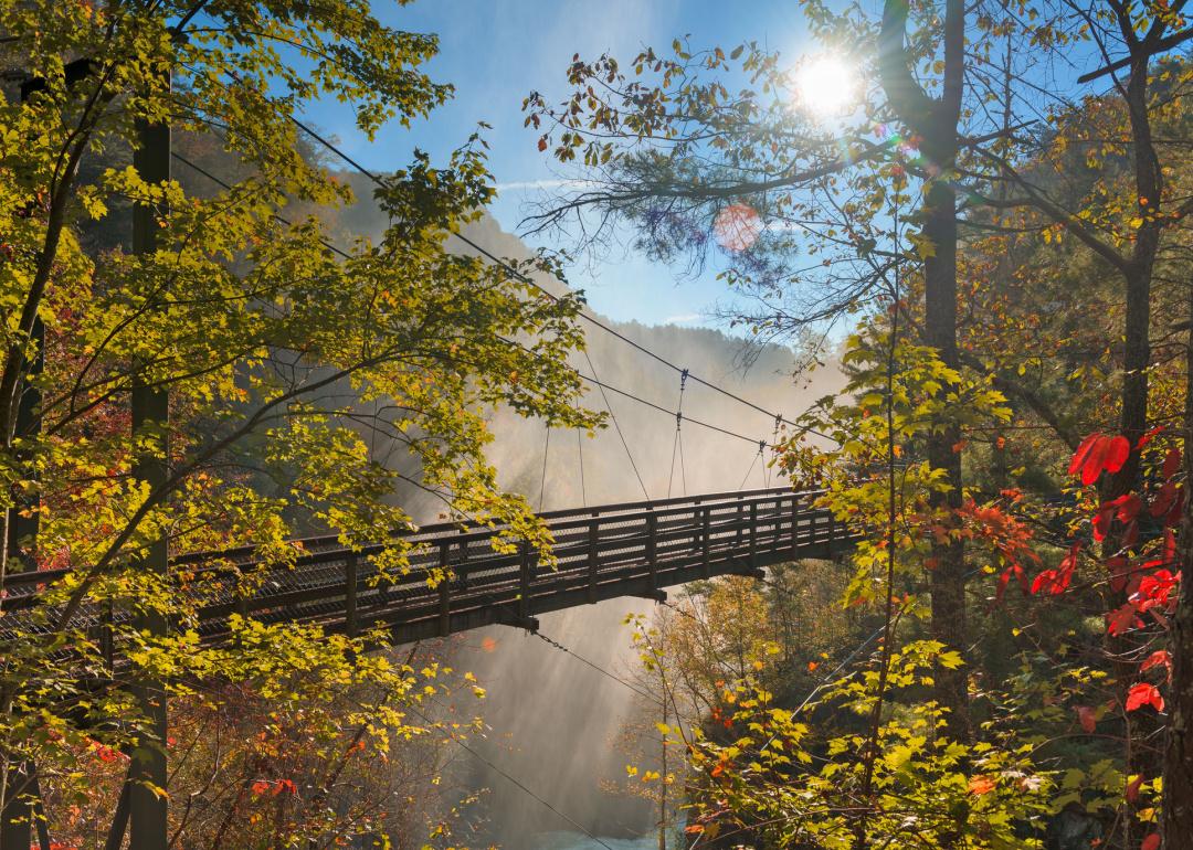 Tallulah Gorge in autum.