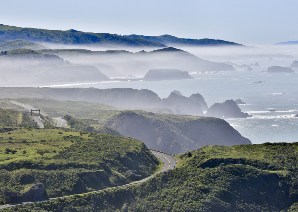 Foggy morning at Bodega Bay