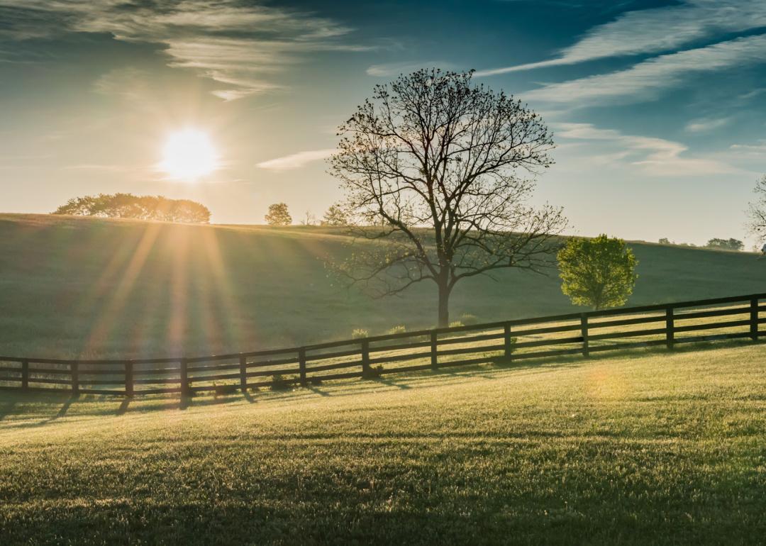 Sun over rolling field at dawn.
