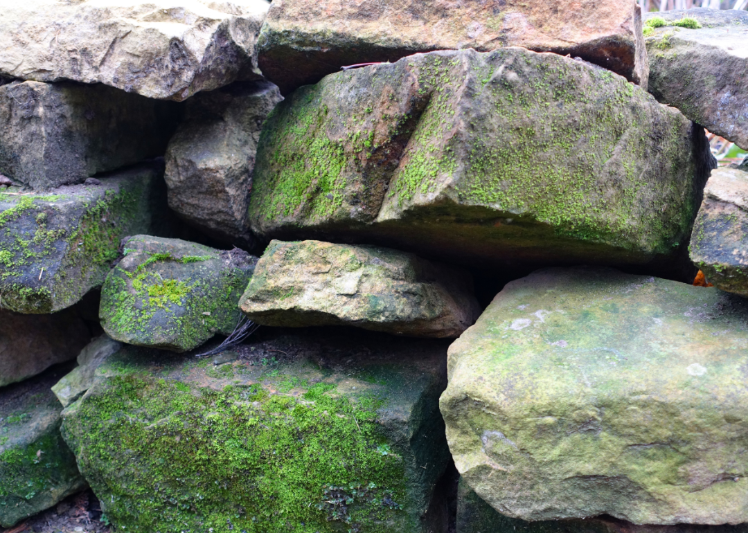 Closeup large mossy rocks.
