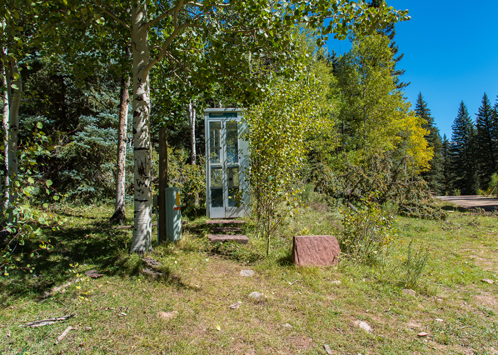 Telephone booth in forest.