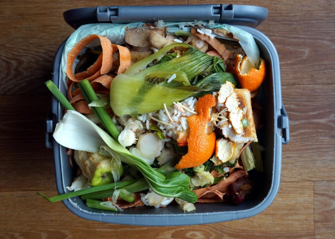 Compost bin with food scraps.