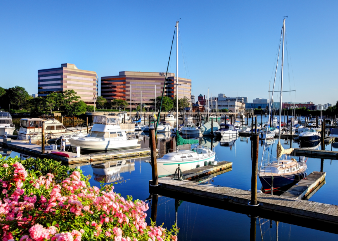 Marina in Stamford.