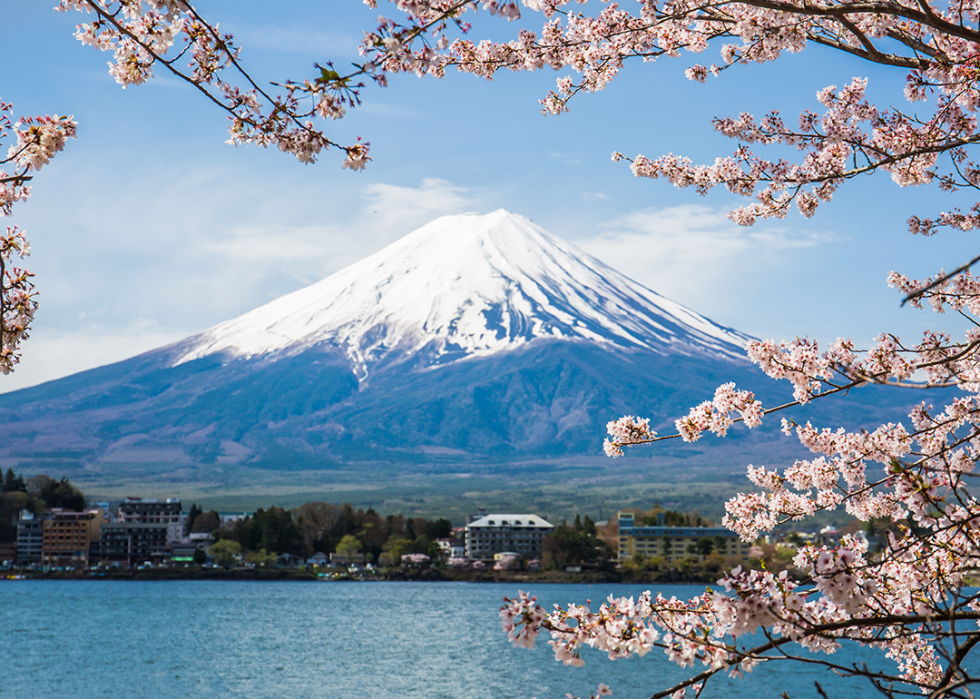 Mount Fuji at Lake Kawaguchiko with cherry blossoms framing the view.