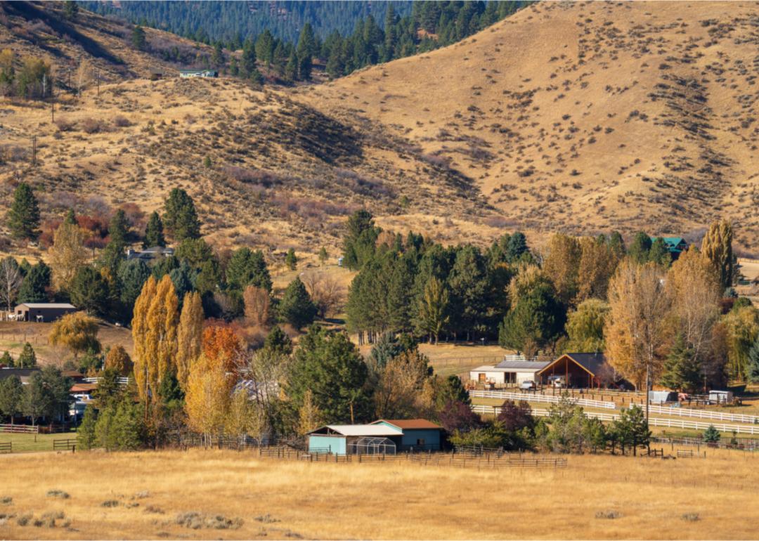 Rural landscape and farms.