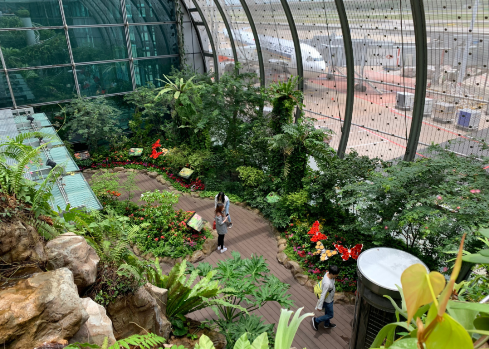 The butterfly garden at Changi Airport