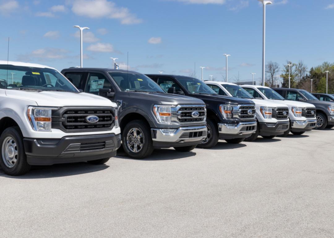 Several Ford F-Series trucks are parked side by side.