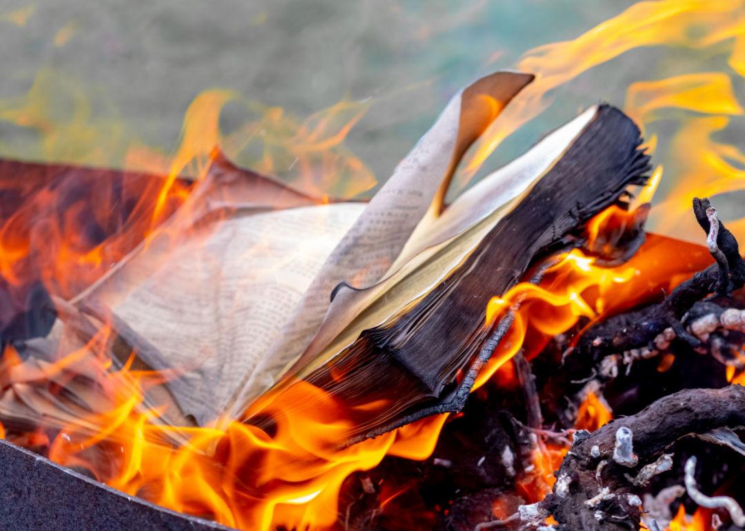 Book burning in orange flames.