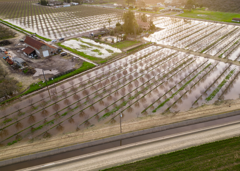 Christine Gemperle’s almond farm recharging an underground aquifer