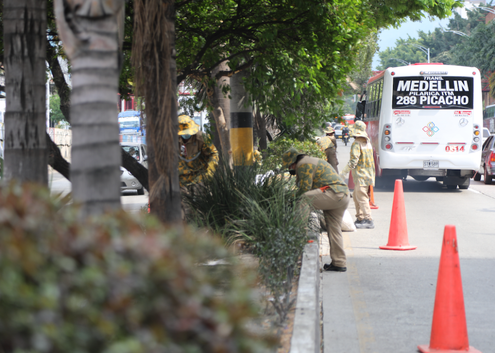 Citizen gardeners at work with plants in the center of the road while a bus drives by