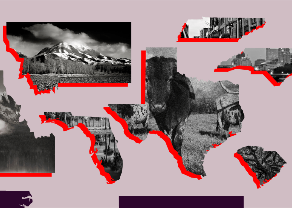 A creative collage of red U.S. states, each showcasing a photo of what they are famous for.