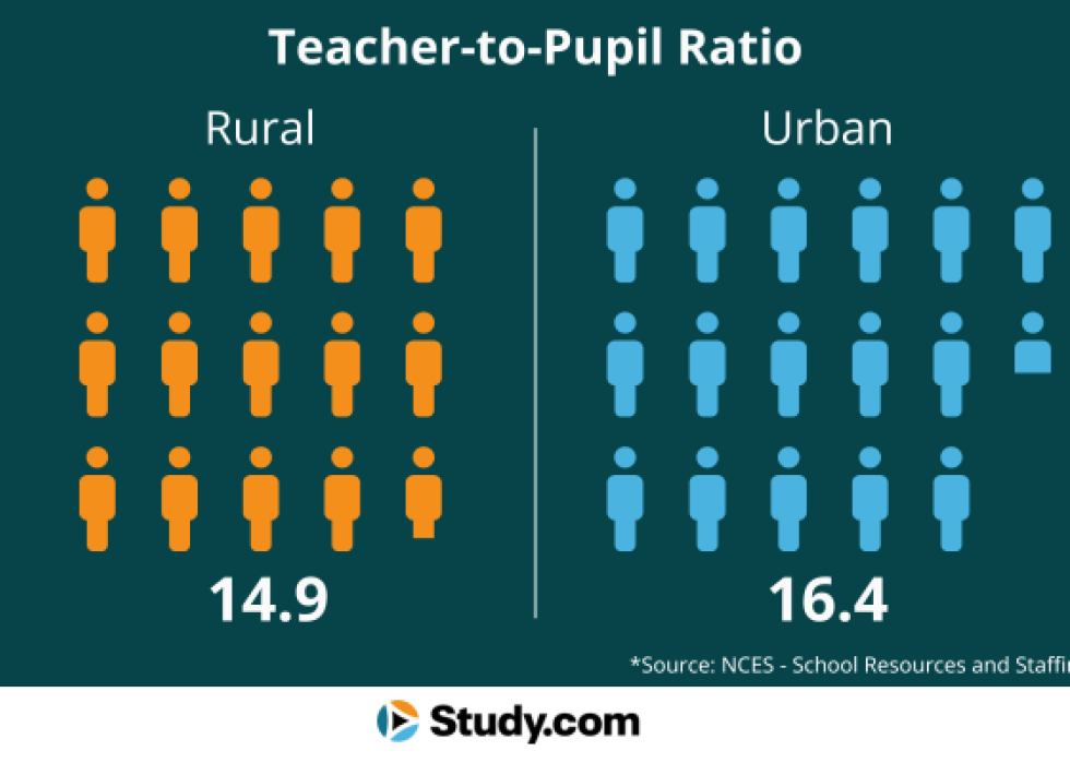 Infographic showing classes sizes.