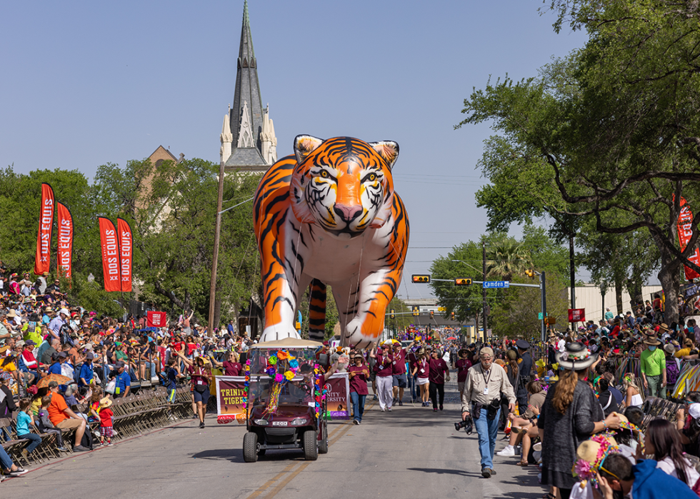 Students walk with Trinity University’s tiger balloon in the The Battle of the Flowers Parade.