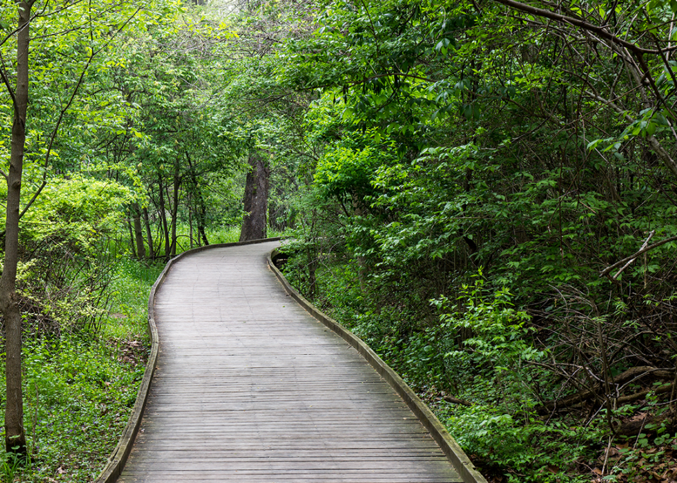 Wooden path winding through Wildwood Metropark.
