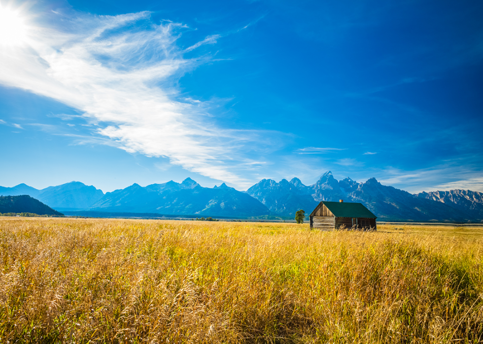 Golden grass prairie and barn with Grand Teton Mountains.