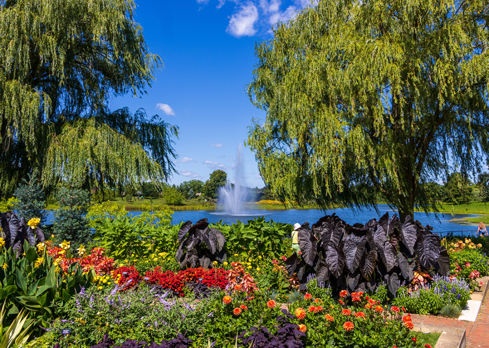 Summer landscape at Chicago Botanic Garden.
