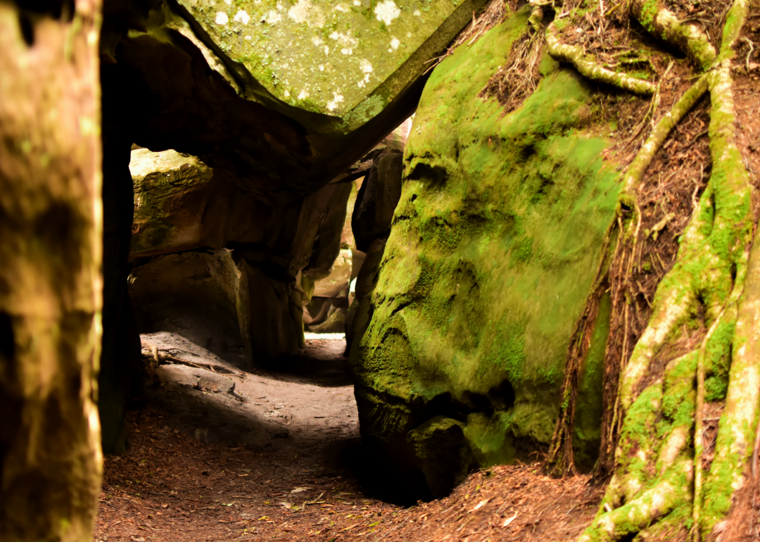 Pathway through rocks in Channels Natural Area.