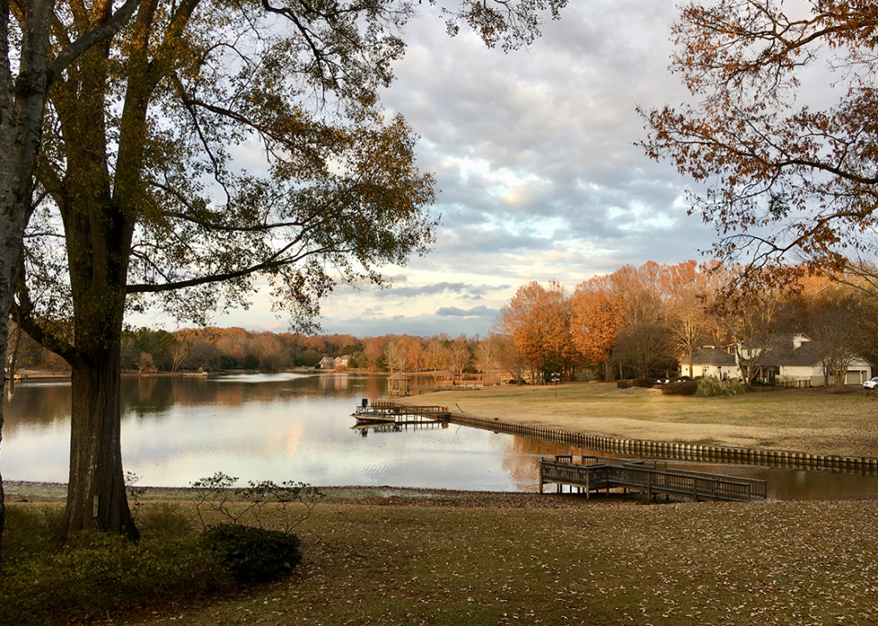 Autumn trees and lake in residential area.