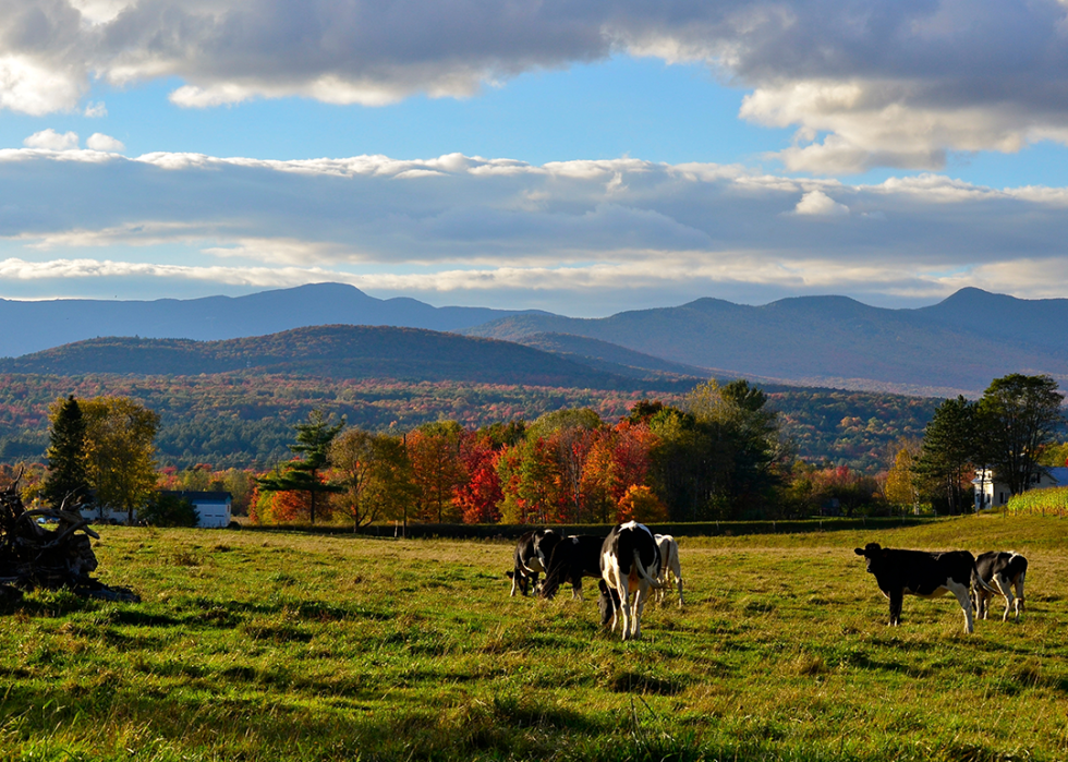 Scenic view in Chittenden County.