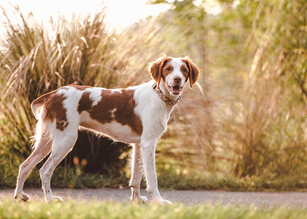 Brittney standing on path.