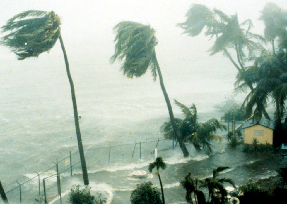 Waves crash into the yard of a partially submerged yellow home surrounded by slanted palm trees blowing in the wind.