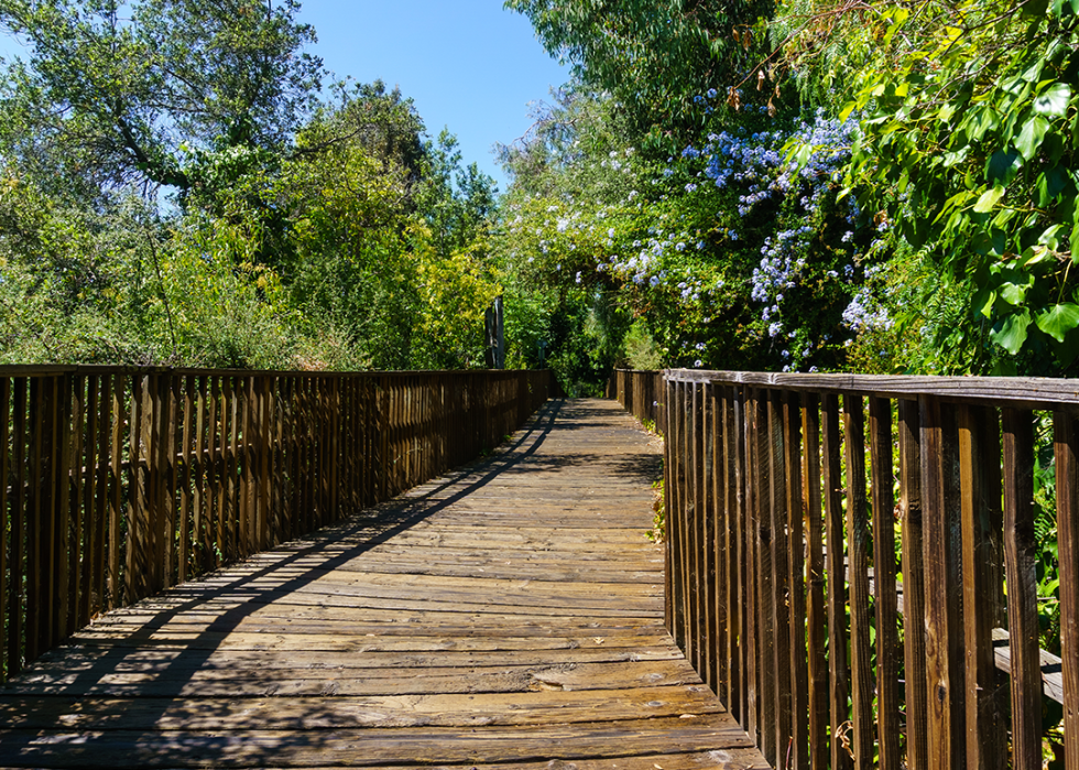 Wooden boardwalk section of the Los Gatos Creek trail.