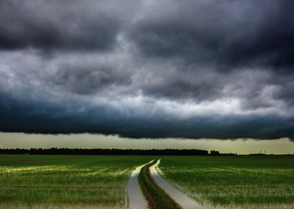 Dark clouds looming over the rice fields.