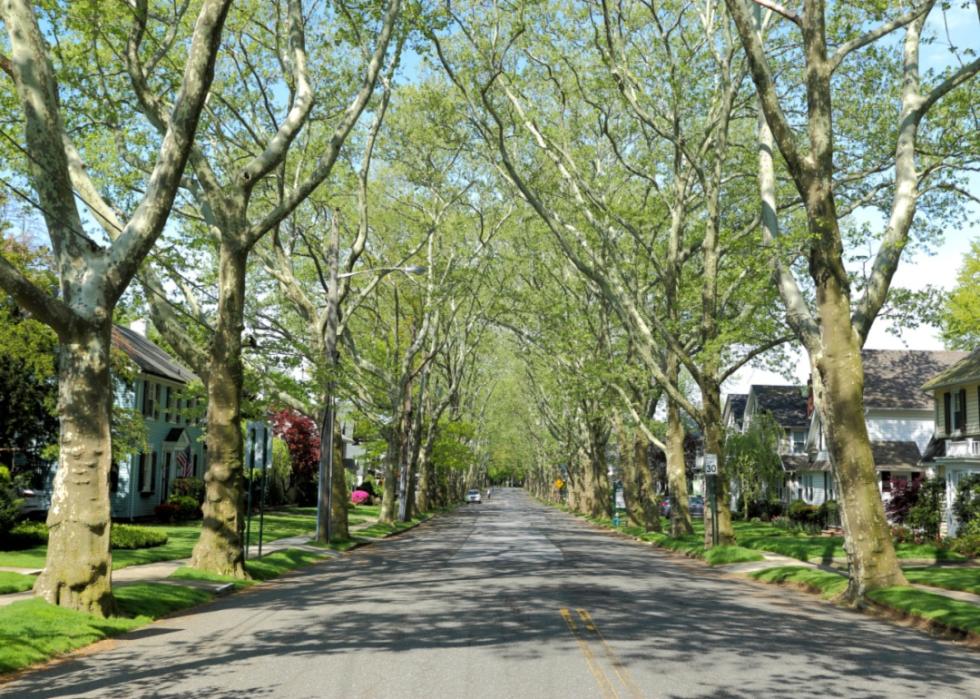 A tree-lined street in a residential neighborhood.